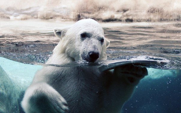 Больше, чем просто фотография. Часть 5