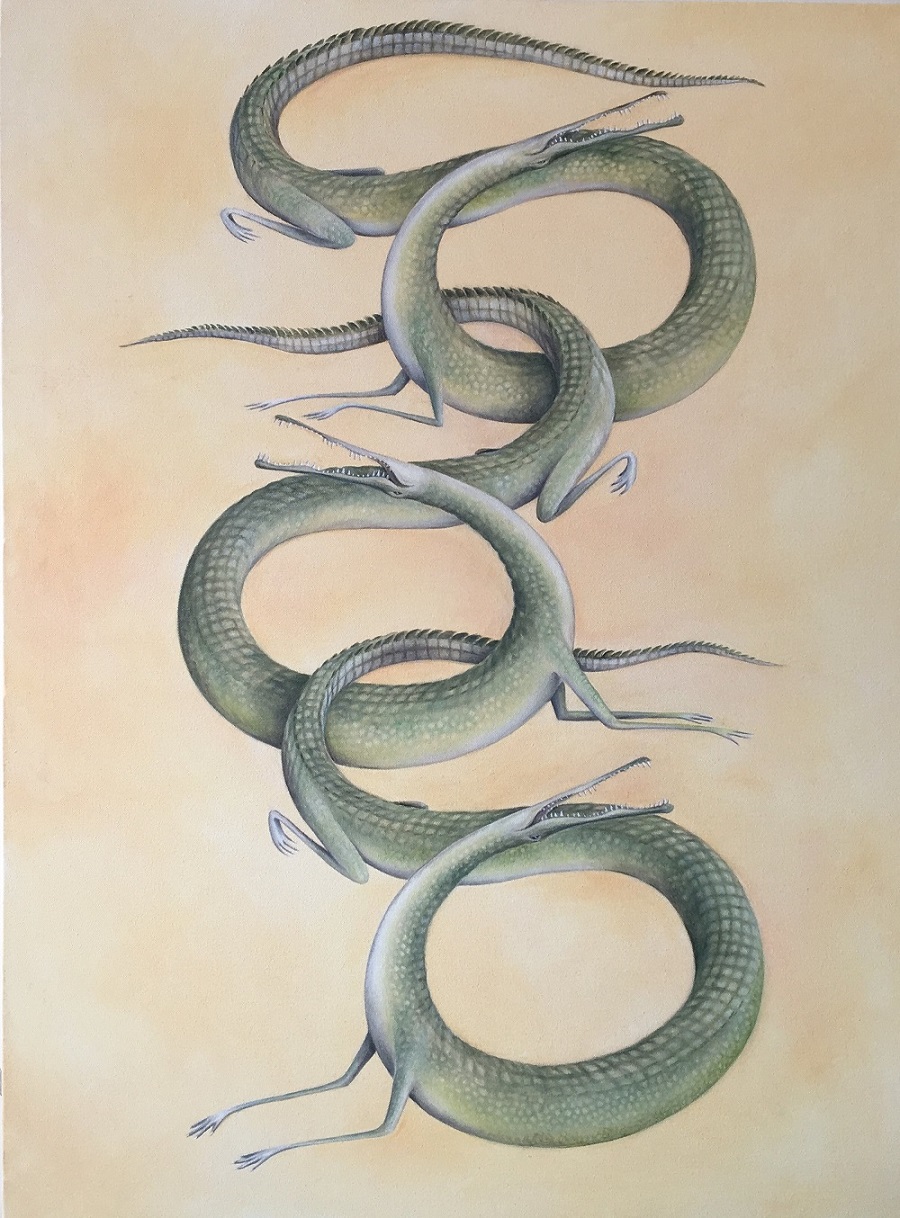 alligators2.jpg alligators2.jpg