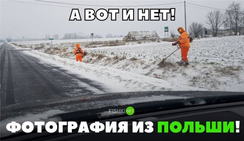 А вот и нет! Фотография из Польши! А вот и нет! Фотография из Польши! авто, автомобили, автоприкол, автоприколы, подборка, прикол, приколы, юмор
