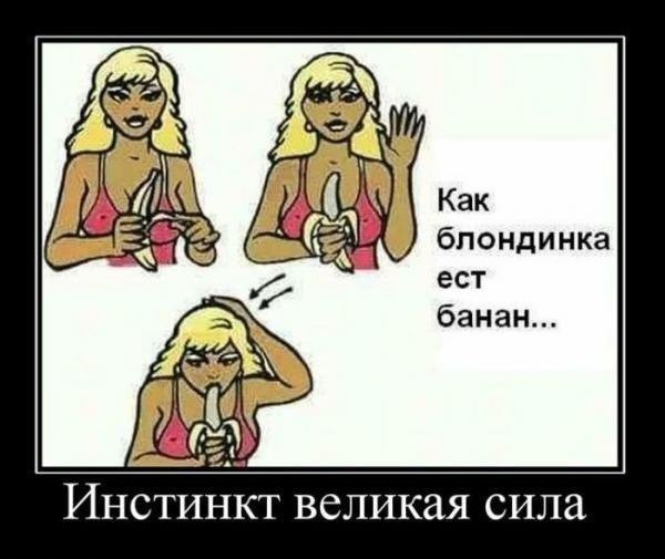 Демотиваторы с девушками Демотиваторы с девушками демотиваторы, прикол, юмор
