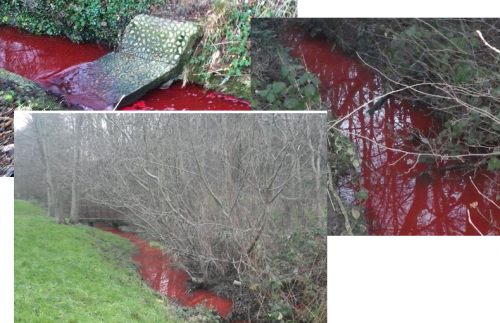 Реки становятся кроваво-красными Реки становятся кроваво-красными