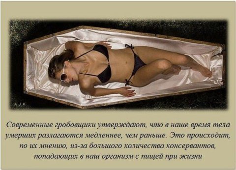 Интересные факты в картинках обо всём (39 фото) Интересные факты в картинках обо всём (39 фото)