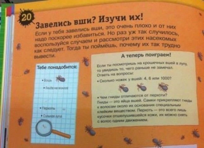 20 детских учебников, авторам которых точно пора на отдых 20 детских учебников, авторам которых точно пора на отдых