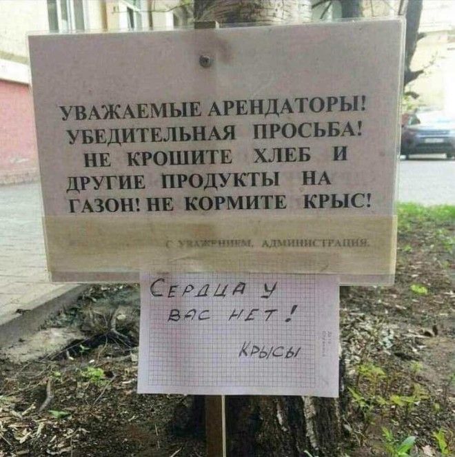 15 оригинальных объявлений и надписей, которые выжмут из вас все слёзы смеха 15 оригинальных объявлений и надписей, которые выжмут из вас все слёзы смеха