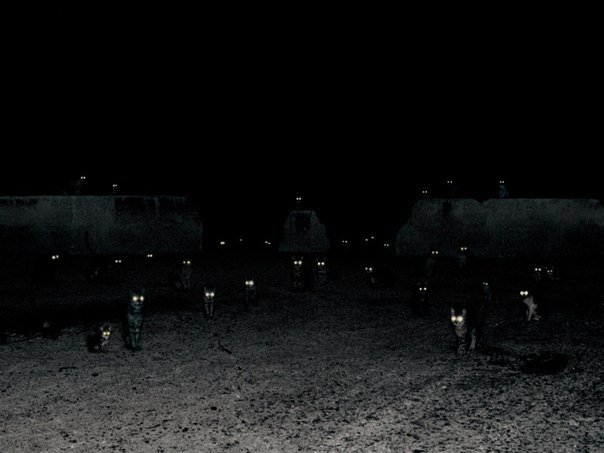 Больше, чем просто фотография. Часть 5