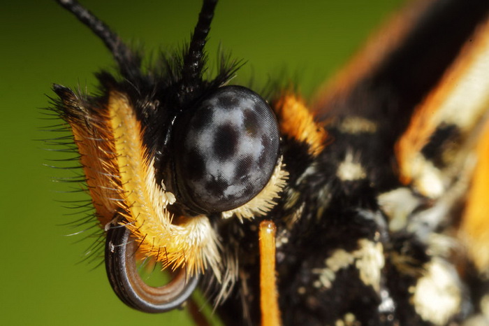 ��������������� John Cogan