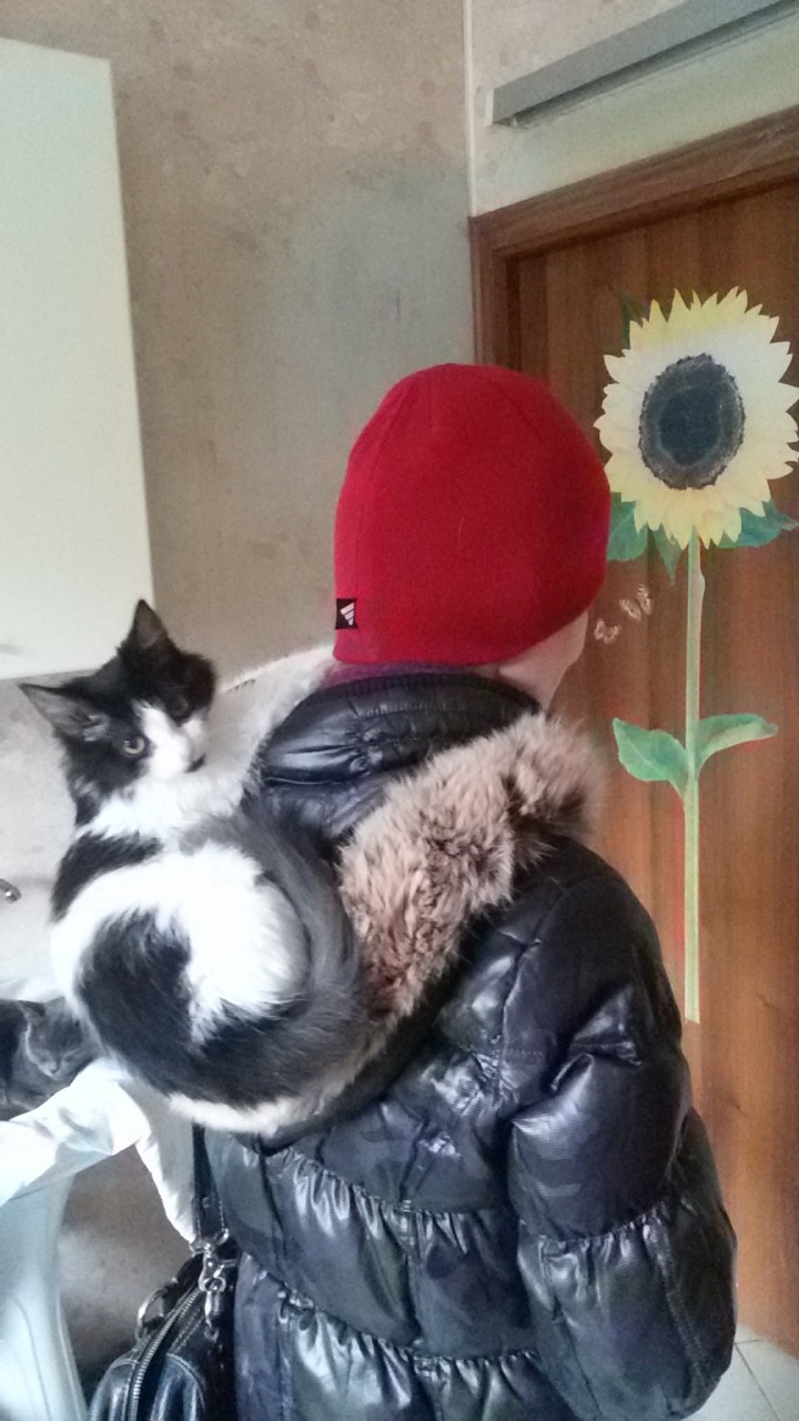 Котят тоже приносят аисты) Лиза ищет дом! Котят тоже приносят аисты) Лиза ищет дом!