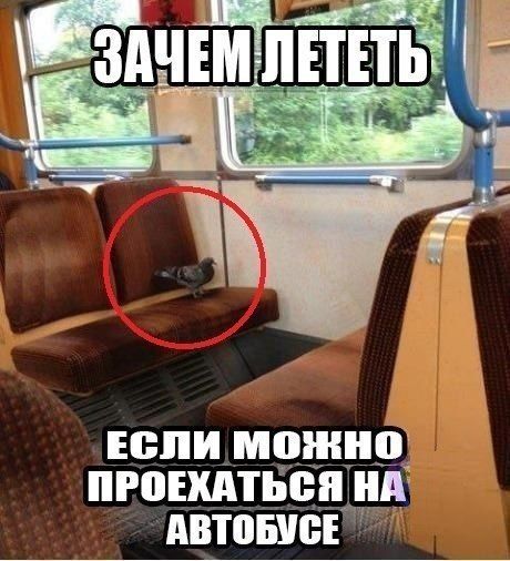 Подборка автоприколов. Часть 72 Подборка автоприколов. Часть 72 авто, автоприколы, приколы