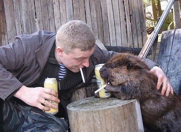 2204269 217 Russia is number one exporter of insanity! (25 Photos)