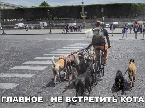 Смешные анекдоты для всех (12 шт) Смешные анекдоты для всех (12 шт)