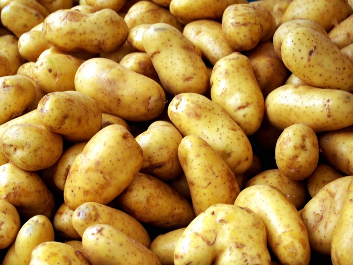 10 продуктов питания, которые вы наверняка храните неправильно 10 продуктов питания, которые вы наверняка храните неправильно