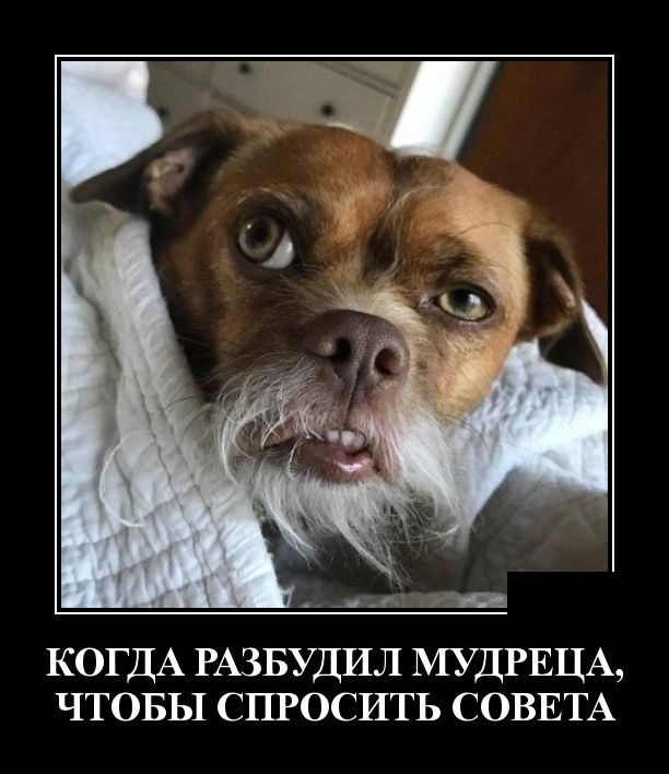 Демотиваторы Демотиваторы