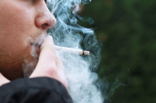 ТОП-25: Факты про собак, которые вы могли не знать ТОП-25: Факты про собак, которые вы могли не знать