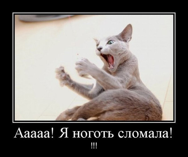 Прикольные демотиваторы (30 фото) Прикольные демотиваторы (30 фото)