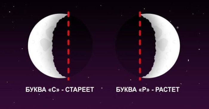 Отличить «растущий» месяц от «стареющего». Отличить «растущий» месяц от «стареющего».