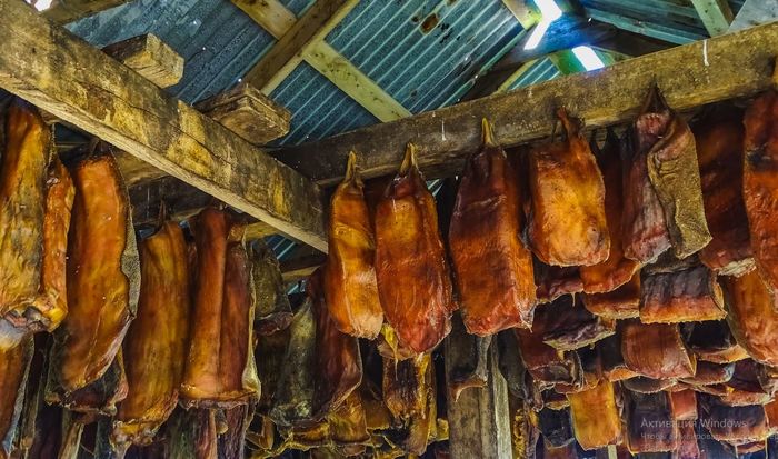 Хаукарль - тухлая акула. Хаукарль, Исландия, Кулинария, Еда, Необычная еда, Акула, Длиннопост