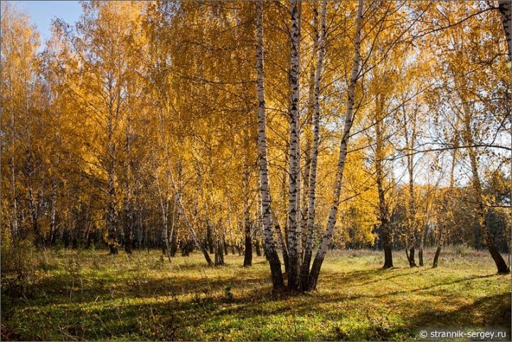 Осенние пейзажи Осенние пейзажи