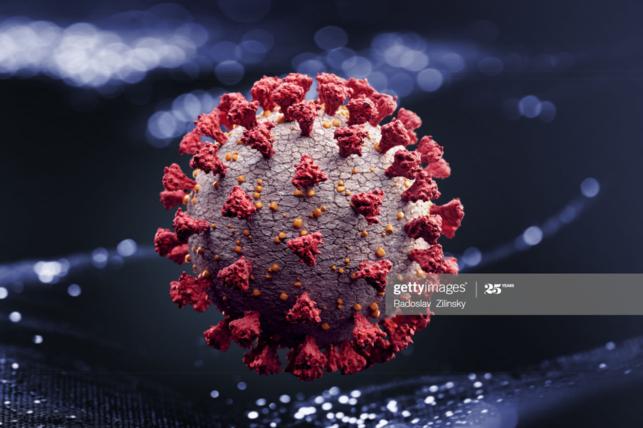 Corona+virus Corona+virus