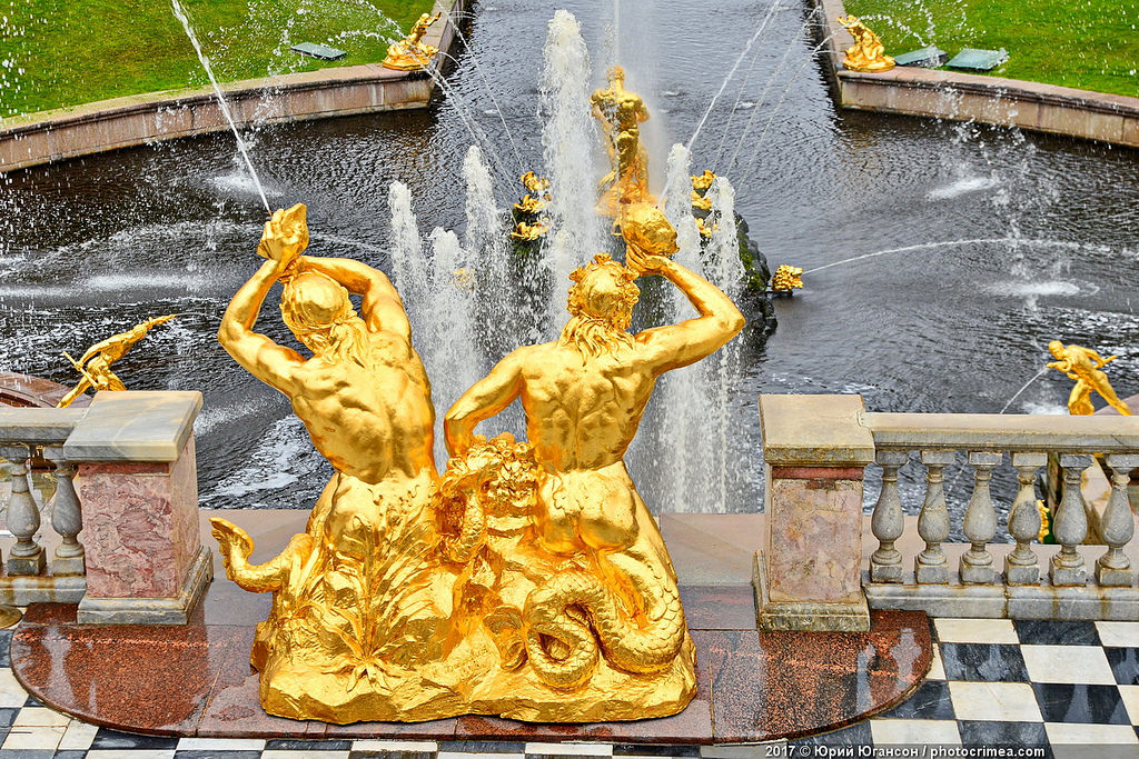 DSC_5504
