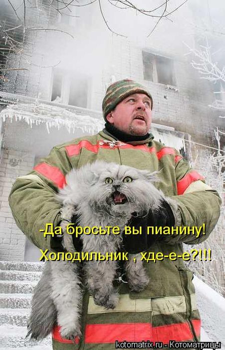Котоматрицы великолепные, каждая с кусочком тепла, позитива и улыбкой! Котоматрицы великолепные, каждая с кусочком тепла, позитива и улыбкой!