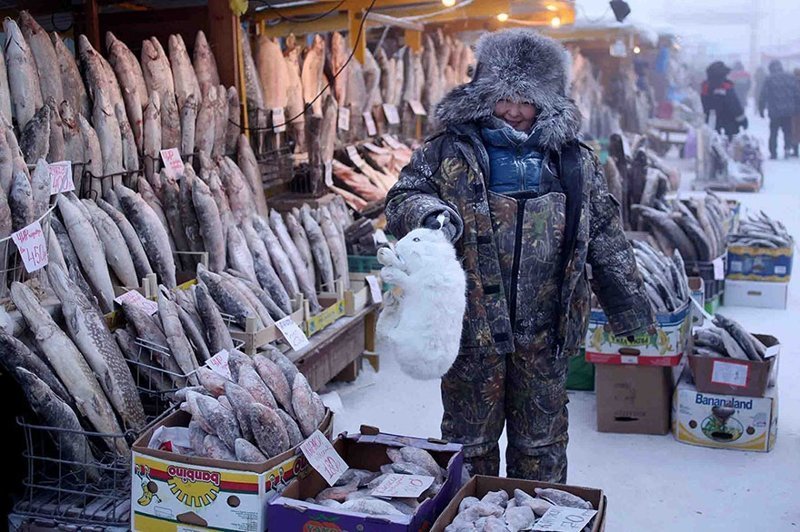 Оймякон: как живется в самом холодном месте России Оймякон, зима, интересное, полюс холода, якутия