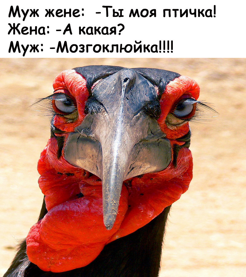 В ночной тишине: — Вась, сколько времени? — Четыре... В ночной тишине: — Вась, сколько времени? — Четыре...