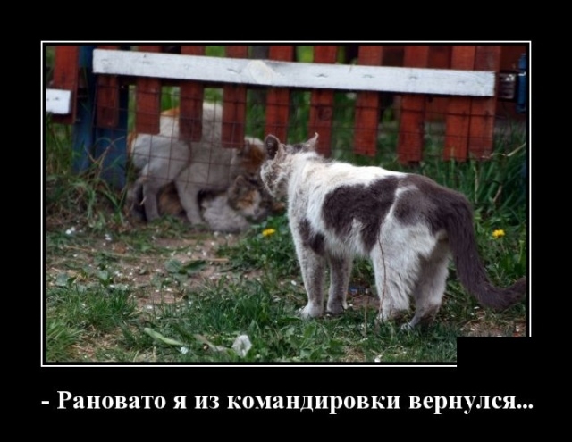 Демотиваторы Демотиваторы