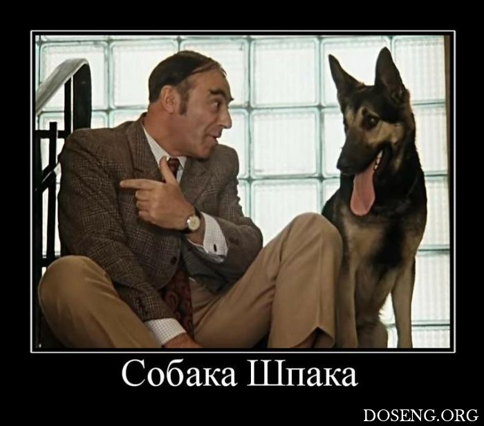 Демотиваторы Демотиваторы
