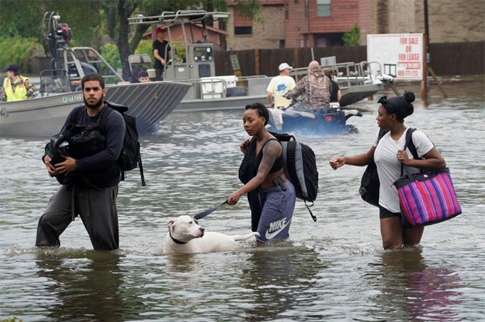 People Walk Through Water To A Staging Area To Evacuate In Dickinson, Texas