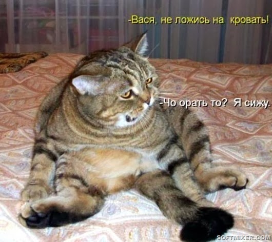 eb71cad9ef3dcb491ac5afa17d2_prev