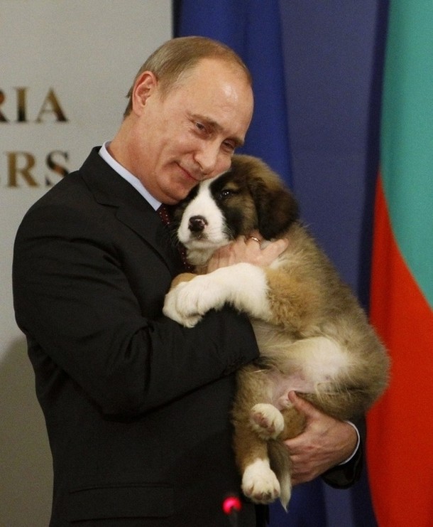 Что может покорить сердце Путина?