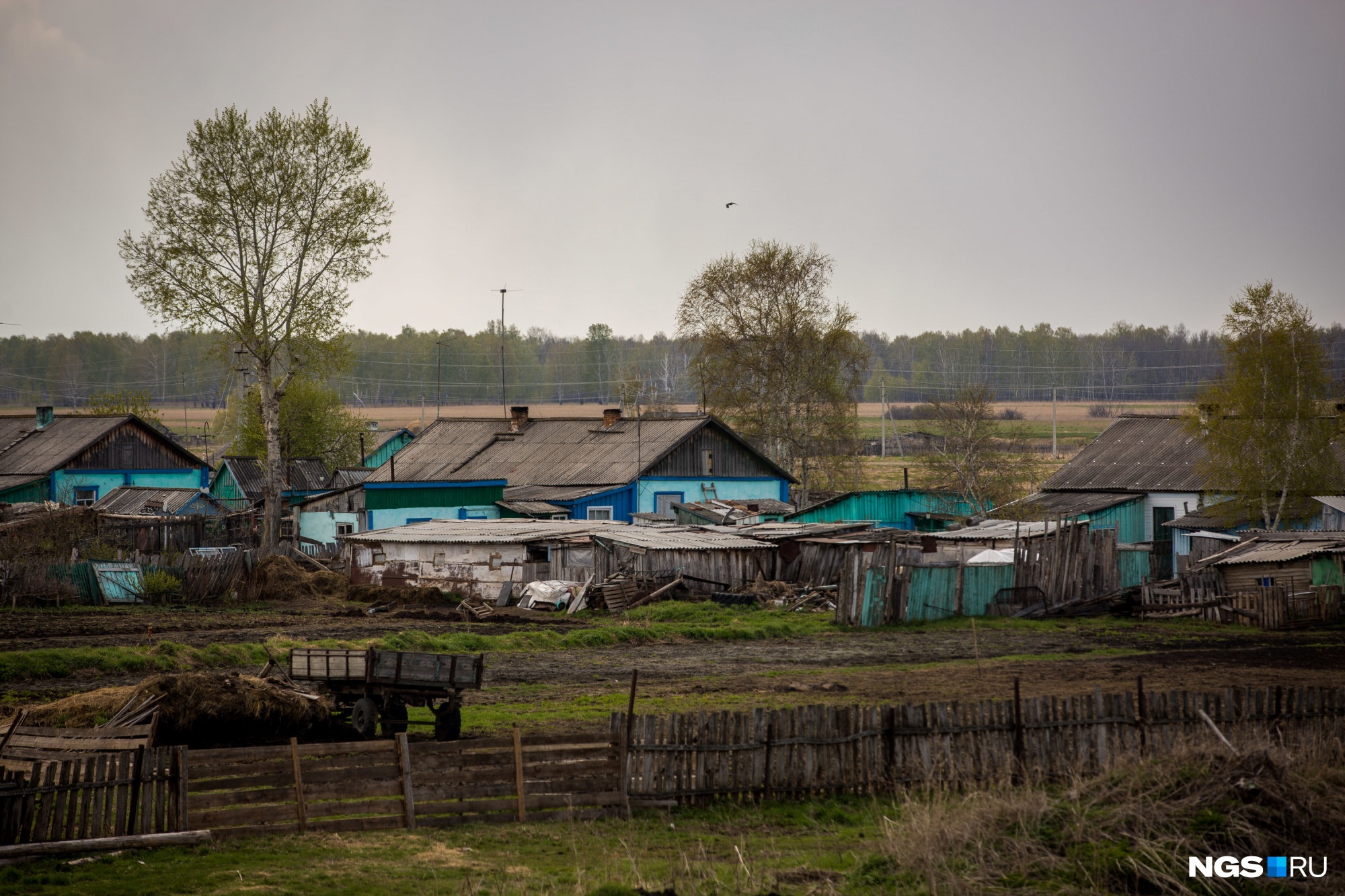 Деревни Новосибирской области