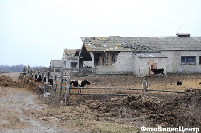 LРусская деревня VS европейская 20 фото которые заставят вас плакать