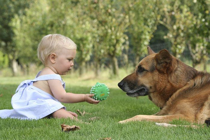 75494518_large_15_pets_and_kids