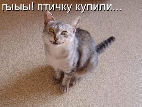1 (8) (494x372, 134Kb)