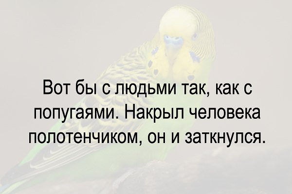 Хочешь денег в два раза больше? Положи их перед зеркалом! )) Хочешь денег в два раза больше? Положи их перед зеркалом! ))