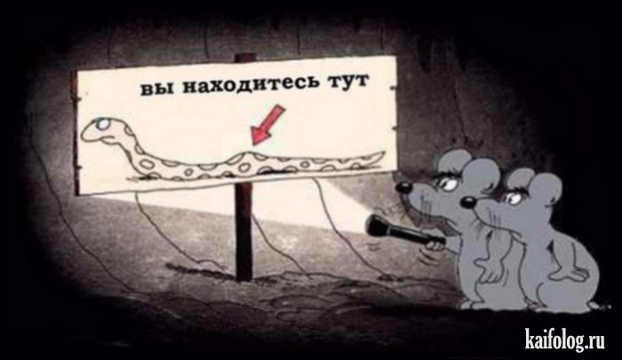 Смешные картинки и карикатуры (45 картинок) Смешные картинки и карикатуры (45 картинок)