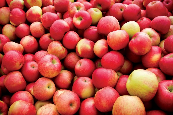 10 продуктов питания, которые вы наверняка храните неправильно 10 продуктов питания, которые вы наверняка храните неправильно