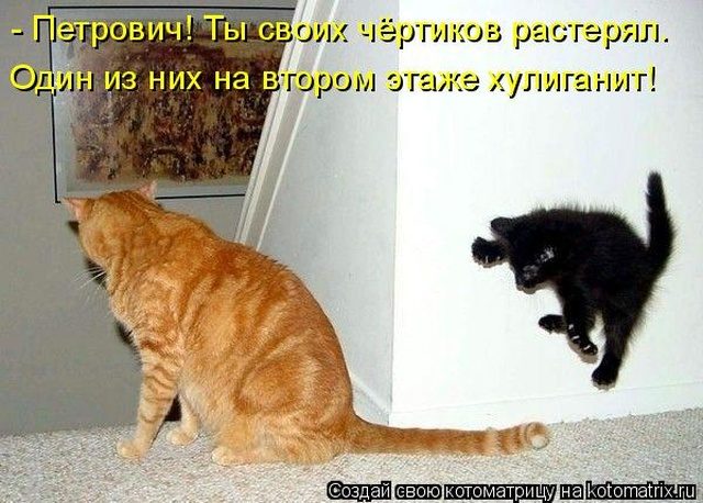 Самые смешные котоматрицы для хорошего настроения) Самые смешные котоматрицы для хорошего настроения)