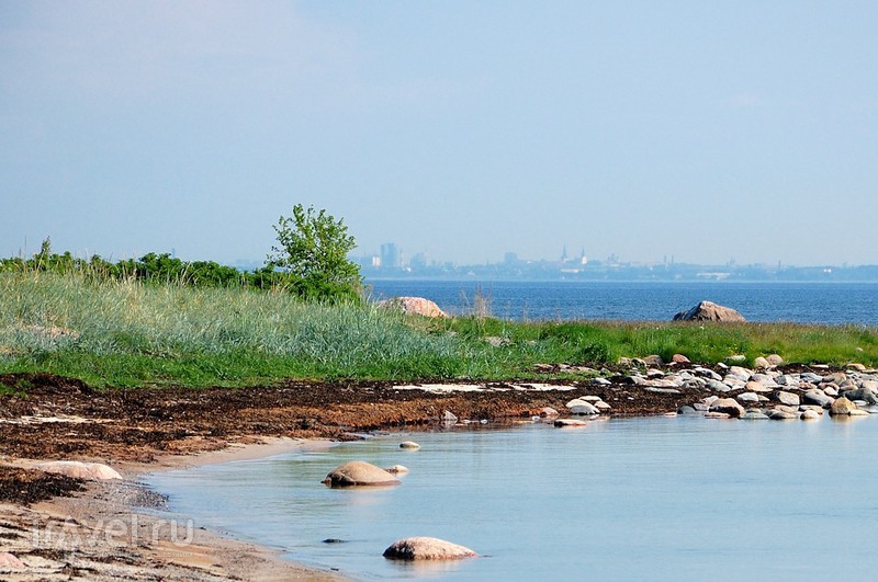 ����������� �� ������ ������ / ���� �� �������