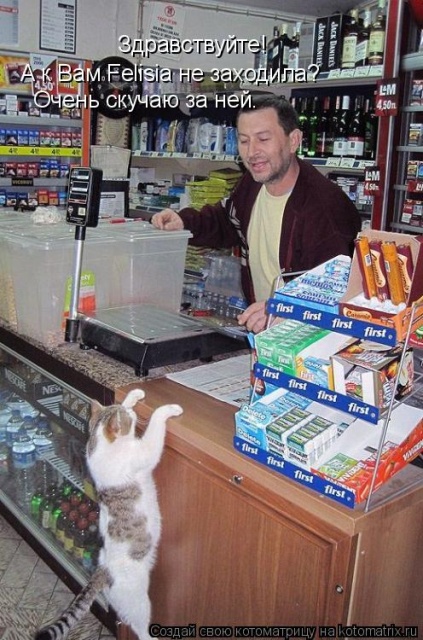 Лучшие котоматрицы недели Лучшие котоматрицы недели