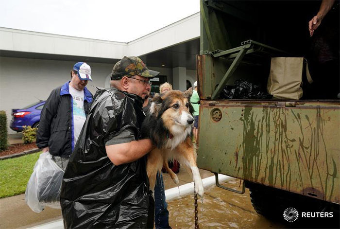 Texans Refuse To Leave Pets Behind As They Flee