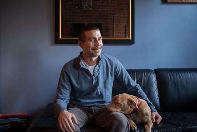 животные, отношения, люди, приют