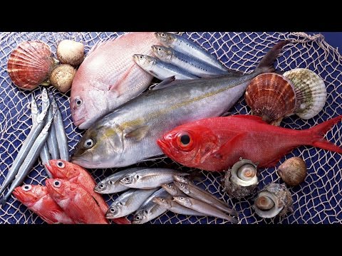 Самая полезная рыба для человека топ 10 Самая полезная рыба для человека топ 10
