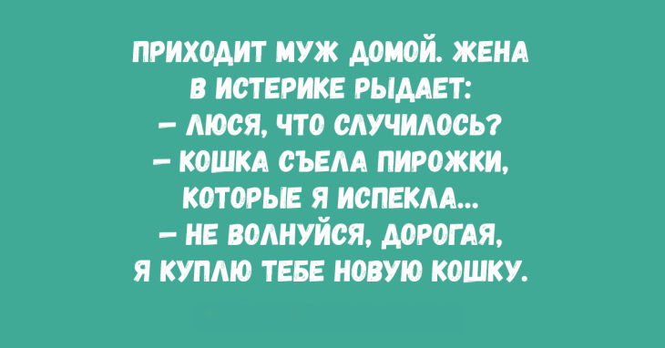 5-61-730x382