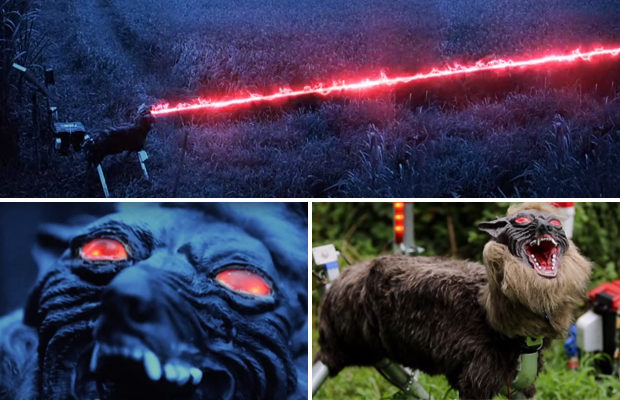 Пугало с горящими глазами отгоняет диких кабанов в Японии