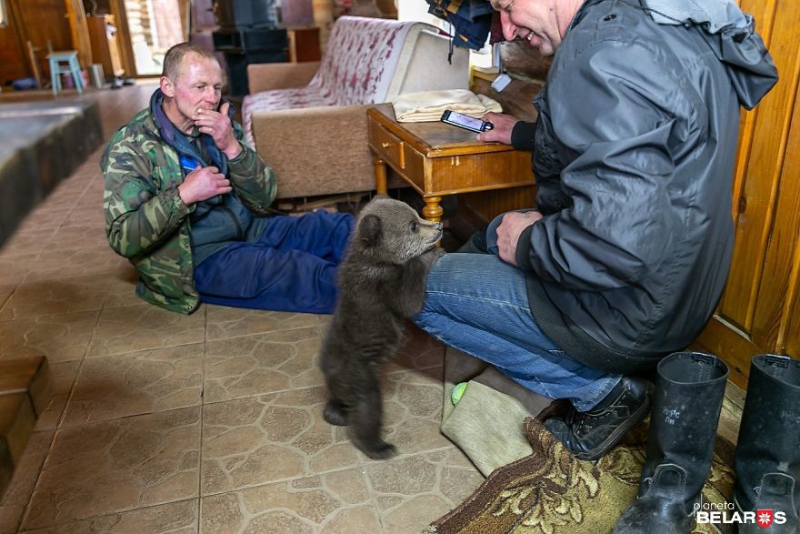 Мужчина спас маленького медвежонка, и малыш теперь живет с ним на ферме