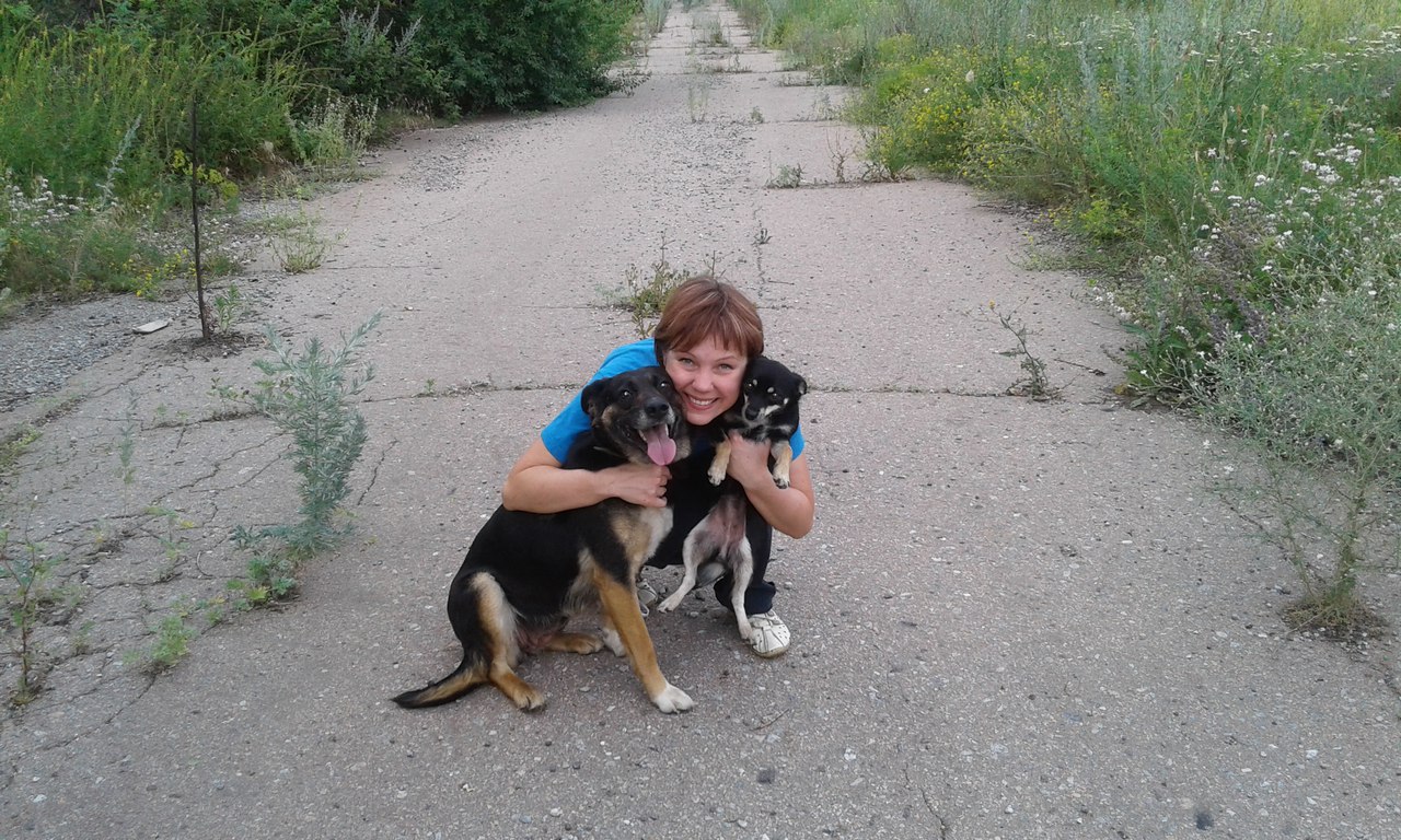 Они знали, куда нужно идти! Две измученные собаки нашли Дом, в котором живёт Добро… и фазаны