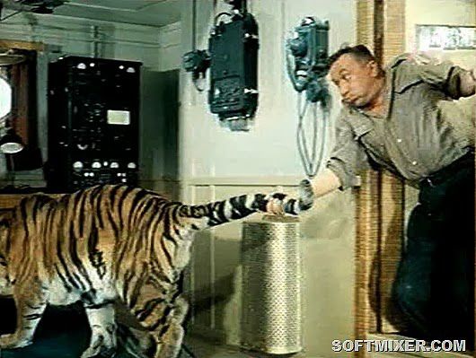 Полосатый рейс, фильм