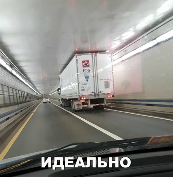 Картинки с приколами (19 фото)